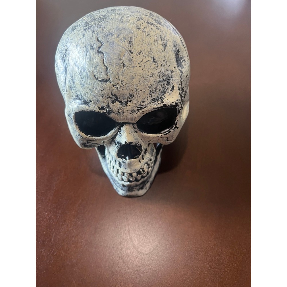 Plastic‎ Halloween skull 7inch